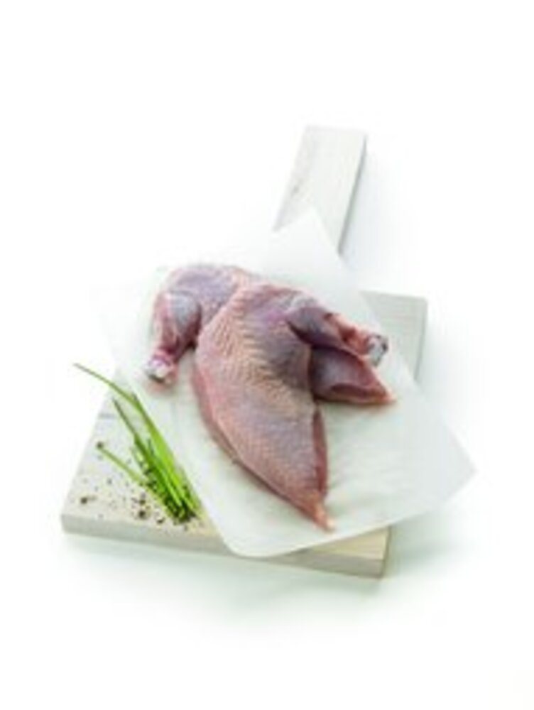 Ref. 321522 Supreme de poulet Label Rouge IGP VF(200/240Gx10)x2 Loué