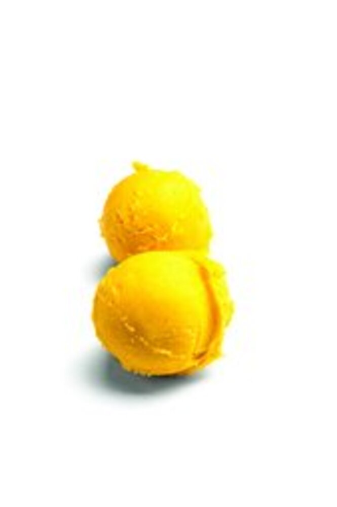 Ref. 283747 Sorbet mangue 2,5L MTBG