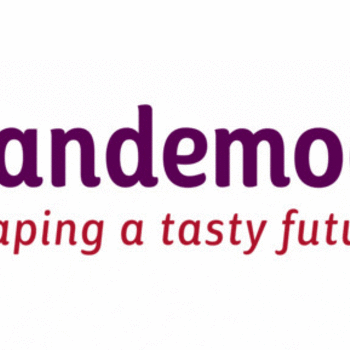 VANDEMOORTELE