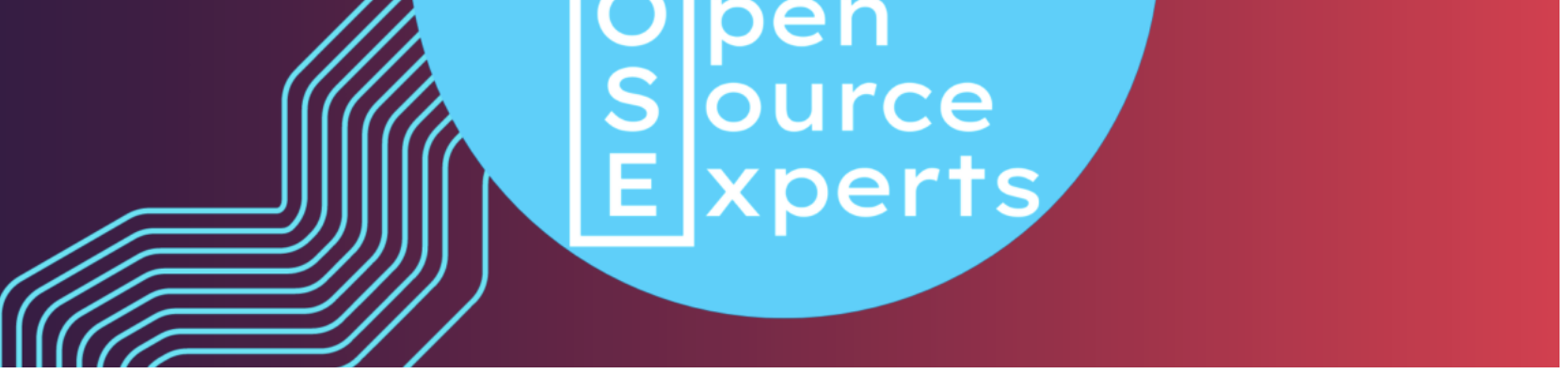 Lancement d’OSE – Open Source Experts : un guichet unique pour accéder aux experts français de l’écosystème Open Source