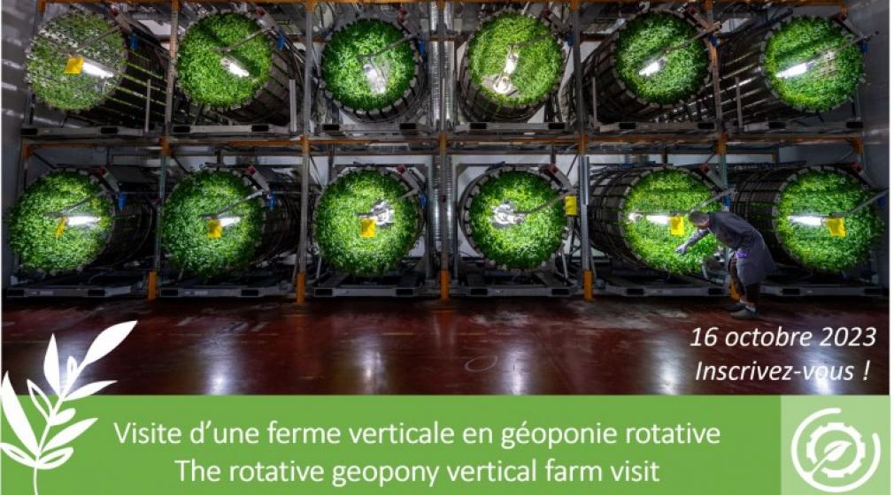 VISIT TO A VERTICAL FARM USING ROTARY GEOPONY - OCTOBER 16, 2023