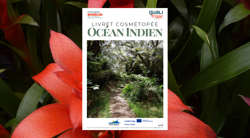 Mise en lumière sur la cosmétopée de l'océan Indien